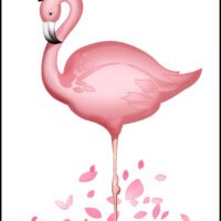 pink flamingo birds